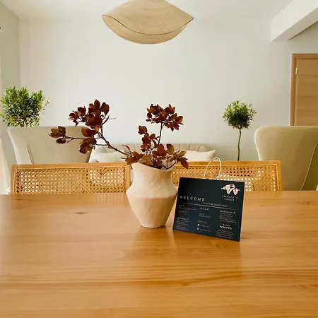 Amelia's Unplugged *