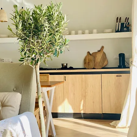 Amelia's Unplugged Apartment