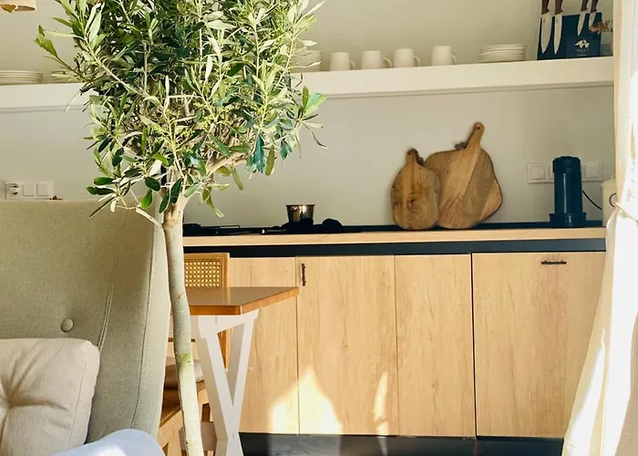 Amelia's Unplugged Apartamento